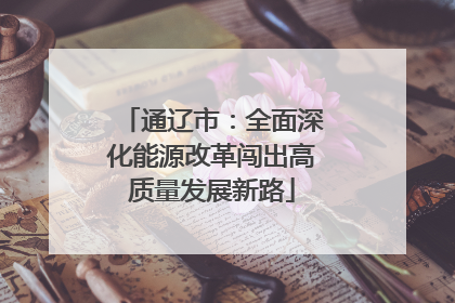 通辽市：全面深化能源改革闯出高质量发展新路