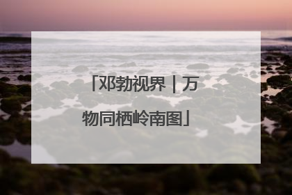 邓勃视界｜万物同栖岭南图