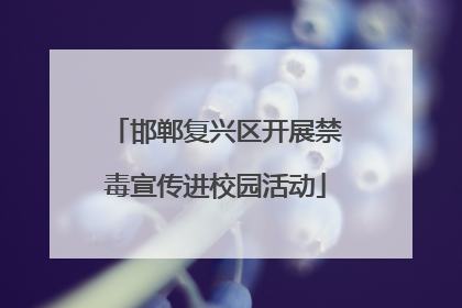 邯郸复兴区开展禁毒宣传进校园活动
