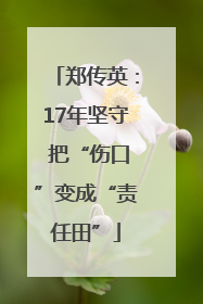 郑传英：17年坚守 把“伤口”变成“责任田”