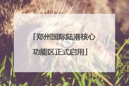 郑州国际陆港核心功能区正式启用