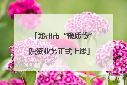 郑州市“豫质贷”融资业务正式上线