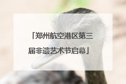 郑州航空港区第三届非遗艺术节启幕