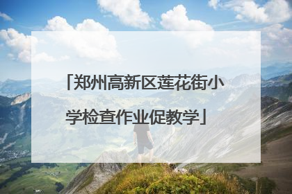 郑州高新区莲花街小学检查作业促教学