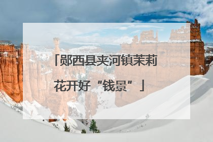 郧西县夹河镇茉莉花开好“钱景”