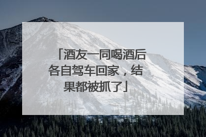 酒友一同喝酒后各自驾车回家，结果都被抓了