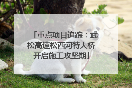 重点项目追踪：武松高速松西河特大桥开启施工攻坚期