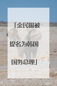 金民锡被提名为韩国国务总理
