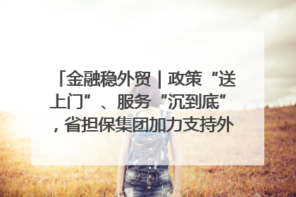 金融稳外贸｜政策“送上门”、服务“沉到底”，省担保集团加力支持外经贸高质量发展