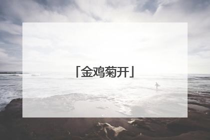 金鸡菊开