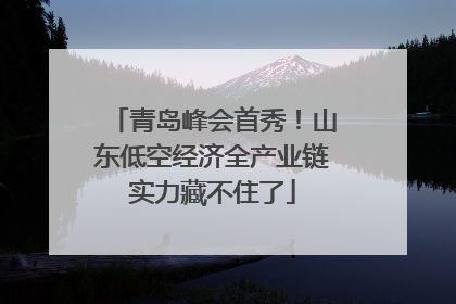 青岛峰会首秀！山东低空经济全产业链实力藏不住了