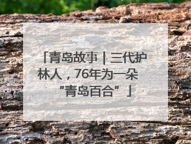 青岛故事｜三代护林人，76年为一朵“青岛百合”