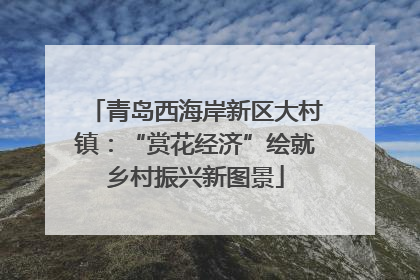 青岛西海岸新区大村镇：“赏花经济”绘就乡村振兴新图景