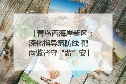 青岛西海岸新区：深化指导筑防线 靶向监督守“薪”安