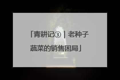 青耕记③｜老种子蔬菜的销售困局