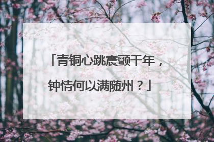 青铜心跳震颤千年，钟情何以满随州？