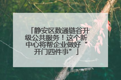 静安区数通链谷升级公共服务！这个新中心将帮企业做好“开门四件事”