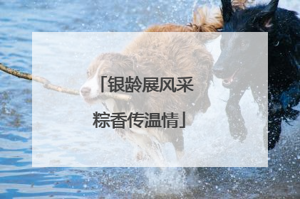 银龄展风采 粽香传温情