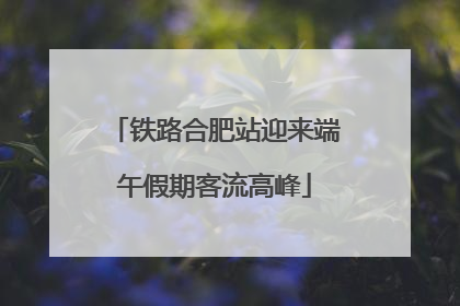 铁路合肥站迎来端午假期客流高峰