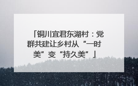 铜川宜君东湖村：党群共建让乡村从“一时美”变“持久美”