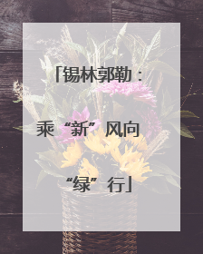 锡林郭勒：乘“新”风向“绿”行