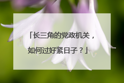 长三角的党政机关，如何过好紧日子？