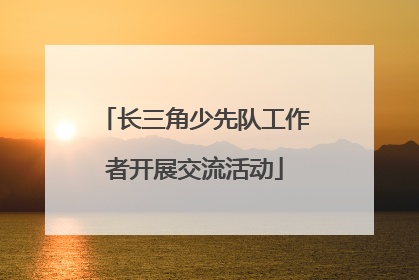 长三角少先队工作者开展交流活动