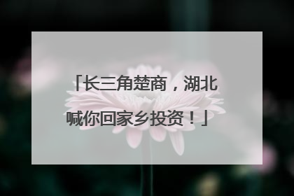 长三角楚商，湖北喊你回家乡投资！