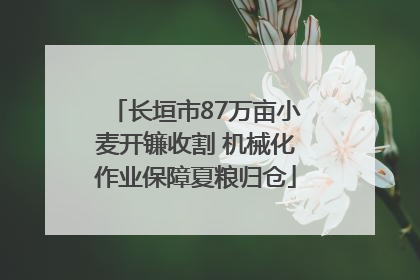 长垣市87万亩小麦开镰收割 机械化作业保障夏粮归仓