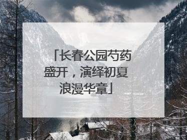 长春公园芍药盛开，演绎初夏浪漫华章