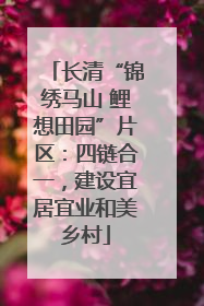 长清“锦绣马山 鲤想田园”片区：四链合一，建设宜居宜业和美乡村