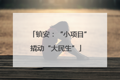 镇安：“小项目”撬动“大民生”