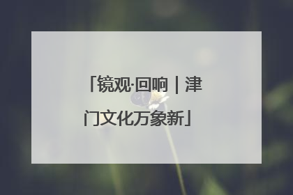 镜观·回响｜津门文化万象新