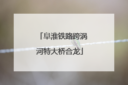 阜淮铁路跨涡河特大桥合龙