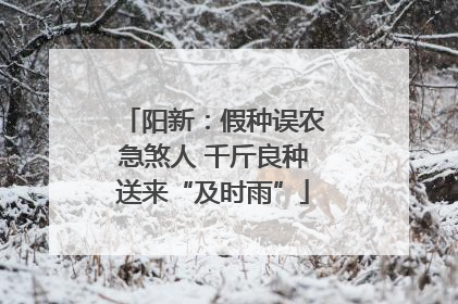 阳新：假种误农急煞人 千斤良种送来“及时雨”
