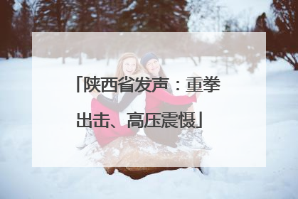 陕西省发声：重拳出击、高压震慑