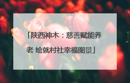 陕西神木：慈善赋能养老 绘就村社幸福图景