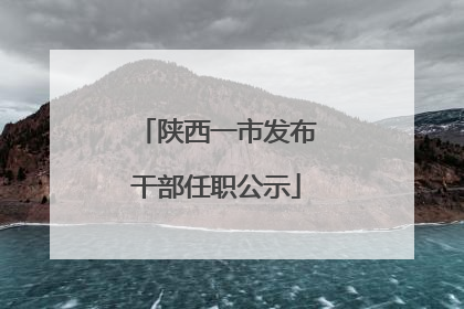 陕西一市发布干部任职公示
