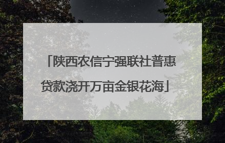 陕西农信宁强联社普惠贷款浇开万亩金银花海
