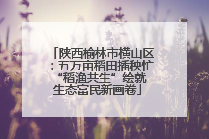 陕西榆林市横山区：五万亩稻田插秧忙 “稻渔共生”绘就生态富民新画卷