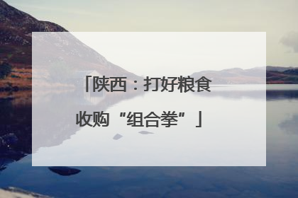 陕西：打好粮食收购“组合拳”
