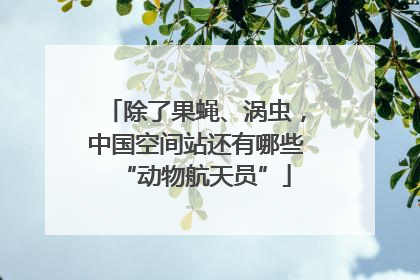 除了果蝇、涡虫，中国空间站还有哪些“动物航天员”