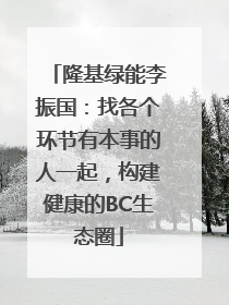 隆基绿能李振国：找各个环节有本事的人一起，构建健康的BC生态圈