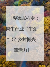 隆德张程乡：肉牛产业“牛劲”足 乡村振兴添活力