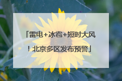 雷电+冰雹+短时大风！北京多区发布预警
