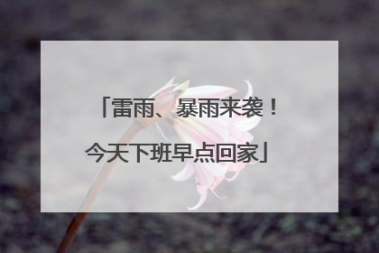 雷雨、暴雨来袭！今天下班早点回家