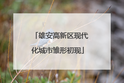 雄安高新区现代化城市雏形初现