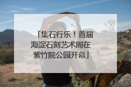 集石行乐！首届海淀石刻艺术周在紫竹院公园开幕