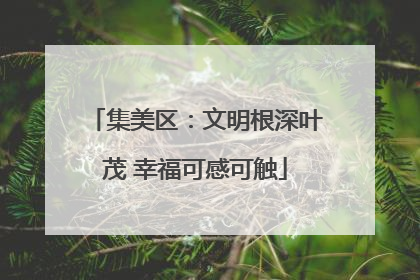 集美区：文明根深叶茂 幸福可感可触