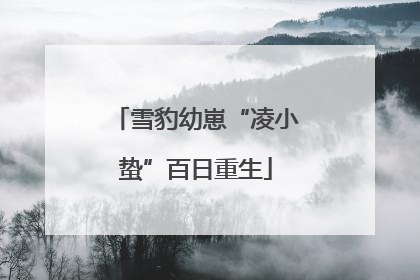 雪豹幼崽“凌小蛰”百日重生